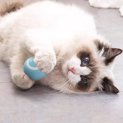 Electric Cat Ball Toys