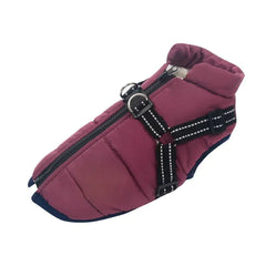 Winter Jacket for Dogs